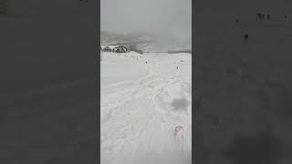 Crazy pow #youtube #skiing #snow #solitude #powder #utah