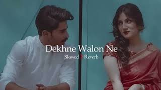 Dekhne walon ne Kya kya nahi Dekha hoga ｜ Slowed & Reverb | Shir Sunny