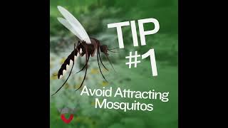 Two Tips For Keeping Mosquitos Away