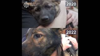 PD Jura - Then and Now