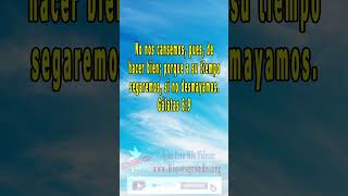 Versículos de la Biblia  Gálatas 6:9 new #shorts_videos