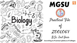 Maharaja Ganga Singh University Practical file of Zoology || B.Sc. 2nd year || Part-1 || Biology