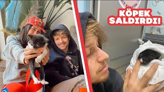 Köpek Saldırdı! | Benimle 1 Gün VLOG