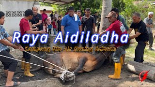 Myfamily Sweet Memory : Raya Aidiladha 2024 | Kampung Ulu Air Kuning Selatan Gemencheh NS