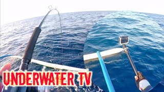 UNDERWATER TV USING RAILBLAZA CAMERA BOOM 600