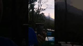 secangkir kopi di lokasi budidaya lebah madu Nainawa #music #arabic #love #madu #lebah #lebahmadu