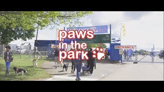 Paws In The Park - Spring 2017