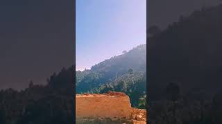 Phir Bhi Aash Lagi Hai Dil me | Nainital Uttarakhand #shorts #nature #nainital #travel #vlog #hills