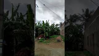 cyclone gulabh effect in Srikakulam district