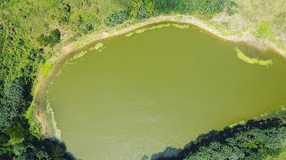 Exploring Giant Pond in Search of Food {catch clean cook}.