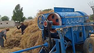 wheat thresher cutting 2023|