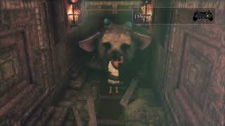 Silly Trico