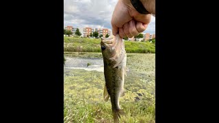 Squeezing in a bit of fishing after work before the storm rolls in