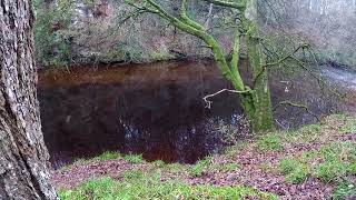 Failford Gorge