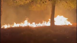 Fires in Northern Israel 25.8.24