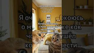 😹 Так и надо мужу! #говорящиекоты #котик #коты #отношения #видеоприколы #котыприколы #смешныевидео