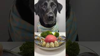 #shorts #food #dog #youtubeshorts