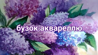 Бузок аквареллю. Етапи малювання.