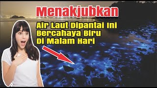 Fenomena Alam || Air Laut Bercahaya Biru Dimalam Hari Dan Sungai Mendadak Hilang !!