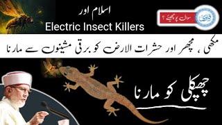 چھپکلی ، مچھر ، مکھی کو مارنا Electric Insect Killers |  Minhaj Fatwa