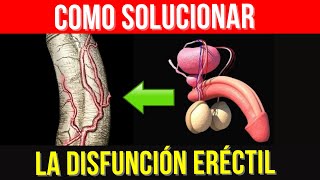 ¡Como SOLUCIONAR la Disfunción ERÉCTIL con estos 3 SECRETOS!