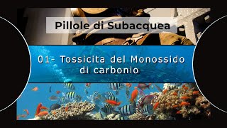 Pillole di subacquea #01: La tossicità del monossido di carbonio