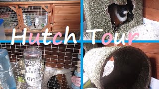 Guinea Pig Hutch Tour - September 2015