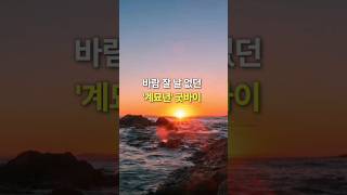 바람 잘 날 없던 '계묘년’ 굿바이