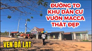 (Đã bán) Đất Ven Đà Lạt| BẤT NGỜ khi chủ nhà bán mảnh đất 1000m2- 200m2 ONT chỉ 1.5 tỷ