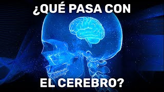 El CEREBRO al DESCUBIERTO | TOP 10 datos sobre el contenido del cráneo