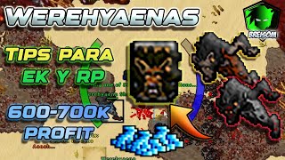 Werehyaena una alternativa única!  PROFIT y EXP SIN HACER ACCESOS! | Tibia Hunt nivel 300+ EK RP