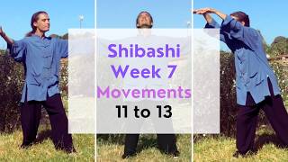 10 Minute Qi Gong (Shibashi Week 7: Movements 11 to 13)