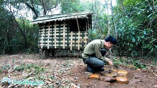 30 Days Solo Bushcraft - wilderness, build shelter, cooking meat etc