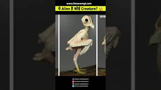 ये Alien है या क्या है? 😨😲 | Which Creature Is This? 😮 | #Shorts #BeawareYT