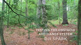 DJI Spark Obstacle Avoidance Tests!