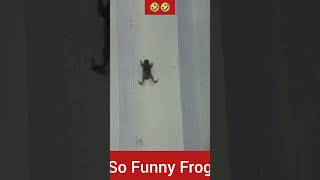 Frog Funny Short video #Frogfunny #funnyshorts #entertainment #viral #saqibofficial