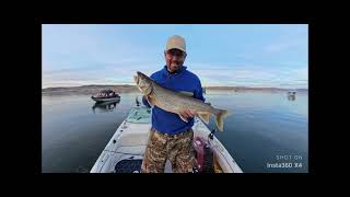 Flaming Gorge Lake Trout 2024