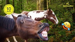 Funniest Horses🐎😂 | Best Compilation of 2024