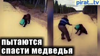 В Якутии пытаются спасти медведя с канистрой на голове