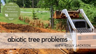 Abiotic Tree Issues