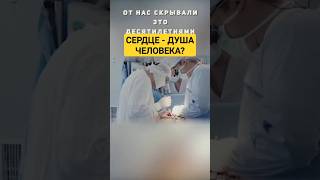 Память сердца существует! #душа #привычки #сердце