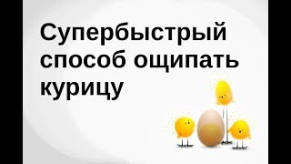 Супербыстрый способ ощипать курицу // Chiken VS Karcher