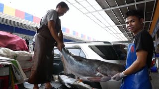 Thailand- Giant Catfish cutting skills