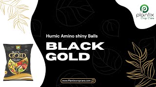 BLACK GOLD (Humic Amino Shiny Ball)