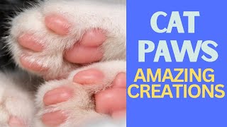 Why Cats Have Toe Beans (And Other Cat Paw Mysteries)