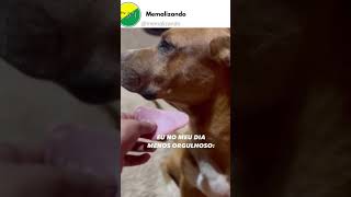 O Caramelo orgulhoso🤣 #memes #comedia #humor #shortvideo