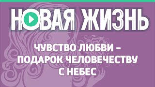 Чувство любви - подарок человечеству с небес