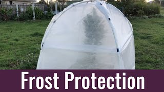 Frost Protection for Sensitive Trees