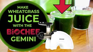 BioChef Gemini the ultimate Wheat-grass Juicer