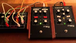 Moogerfooger Filter Plus CP-251 & Delay